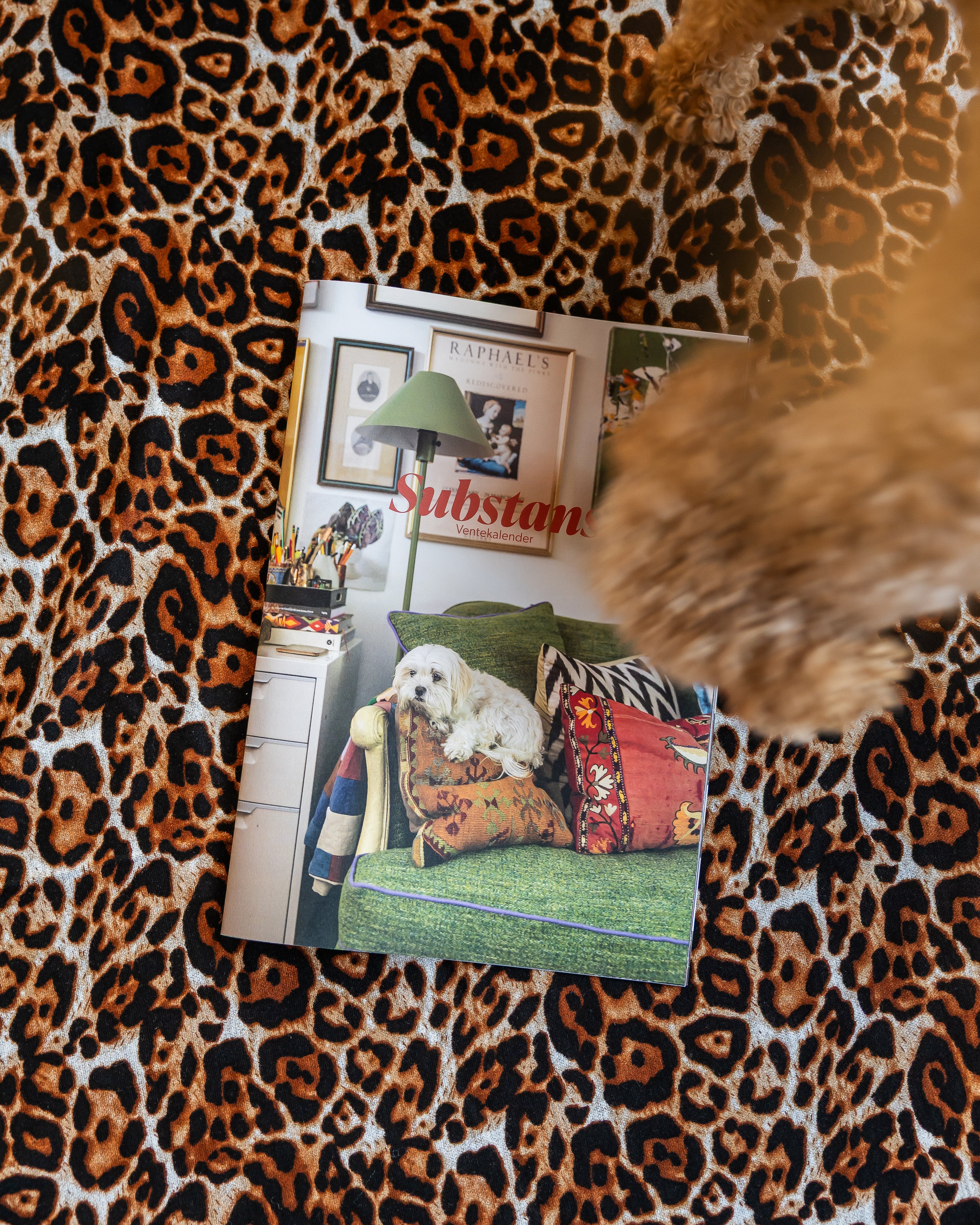 Substans ventekalender